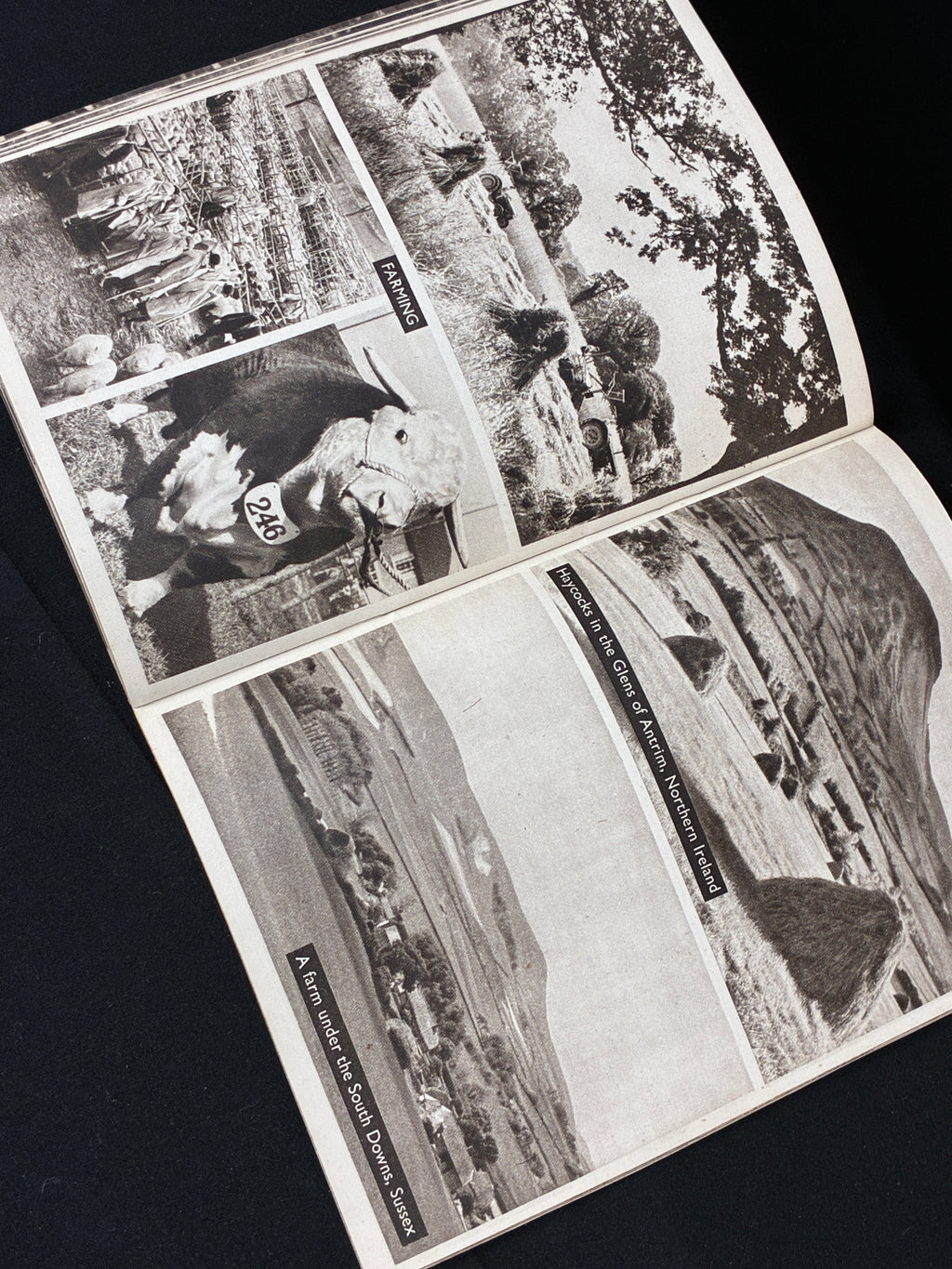 WW2 This is Britain Souvenir Guide Book